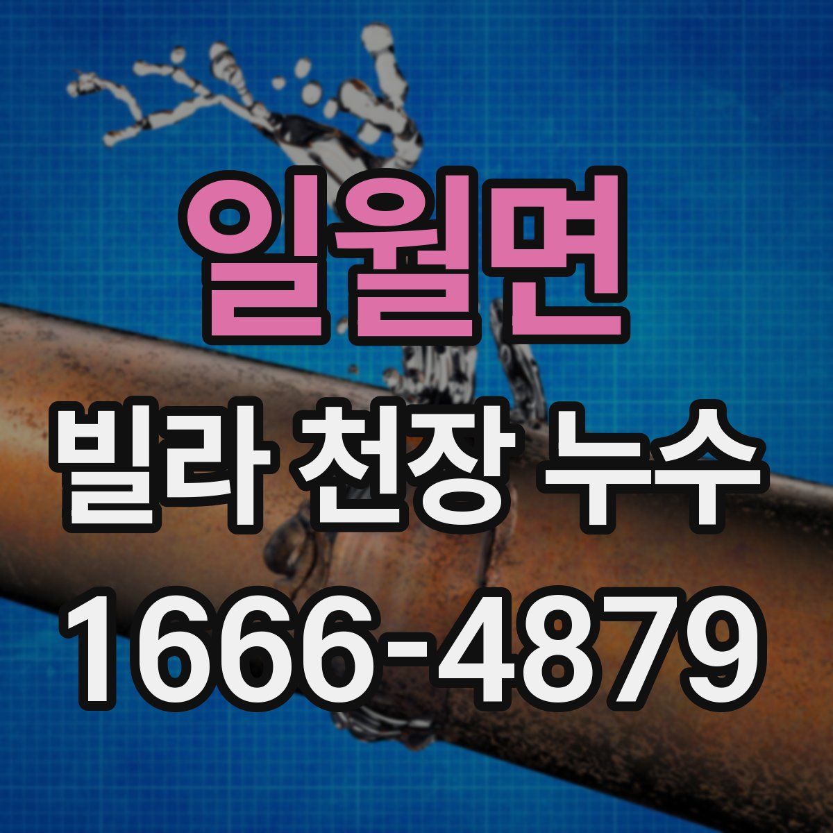 일월면 빌라 천장 누수