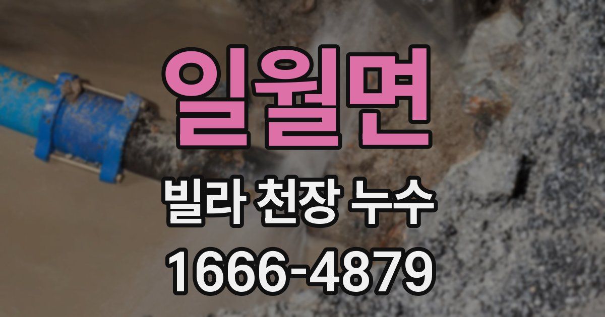 일월면 빌라 천장 누수