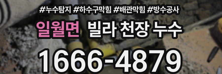 일월면 빌라 천장 누수
