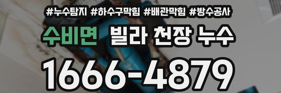 수비면 빌라 천장 누수