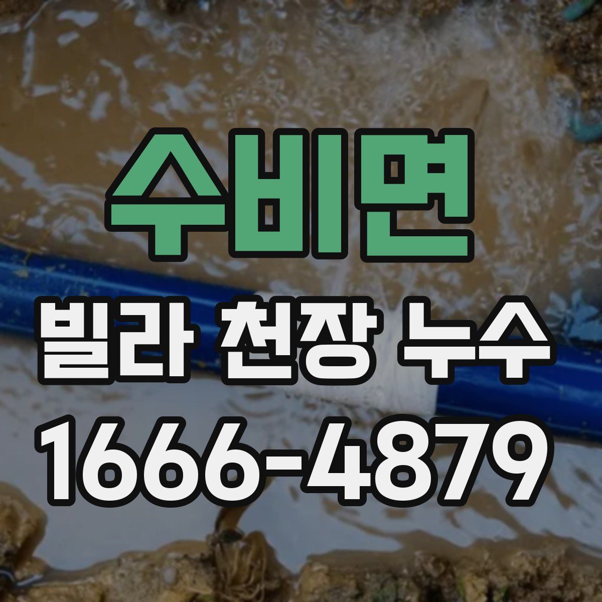 수비면 빌라 천장 누수