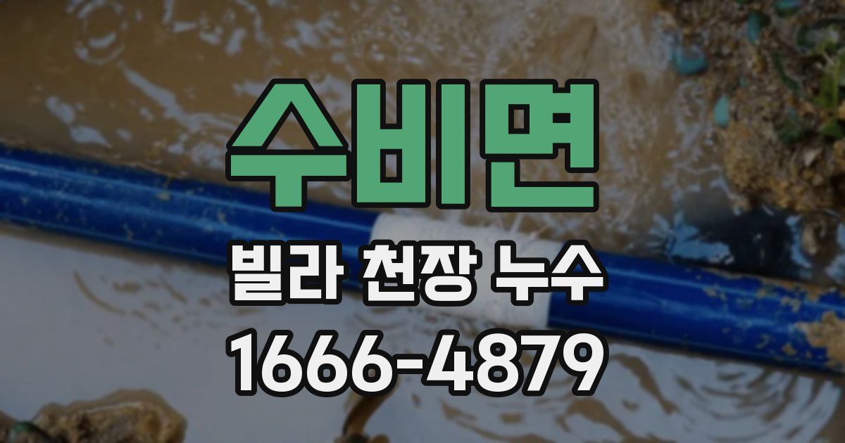 수비면 빌라 천장 누수