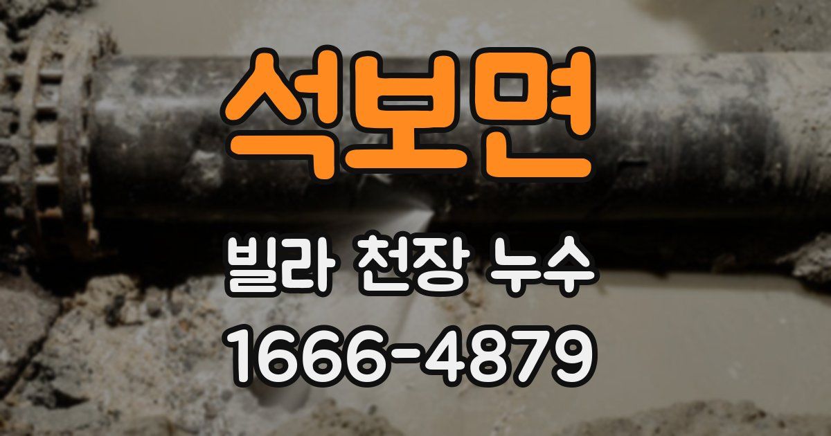 석보면 빌라 천장 누수