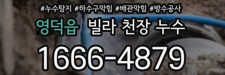 영덕읍 빌라 천장 누수