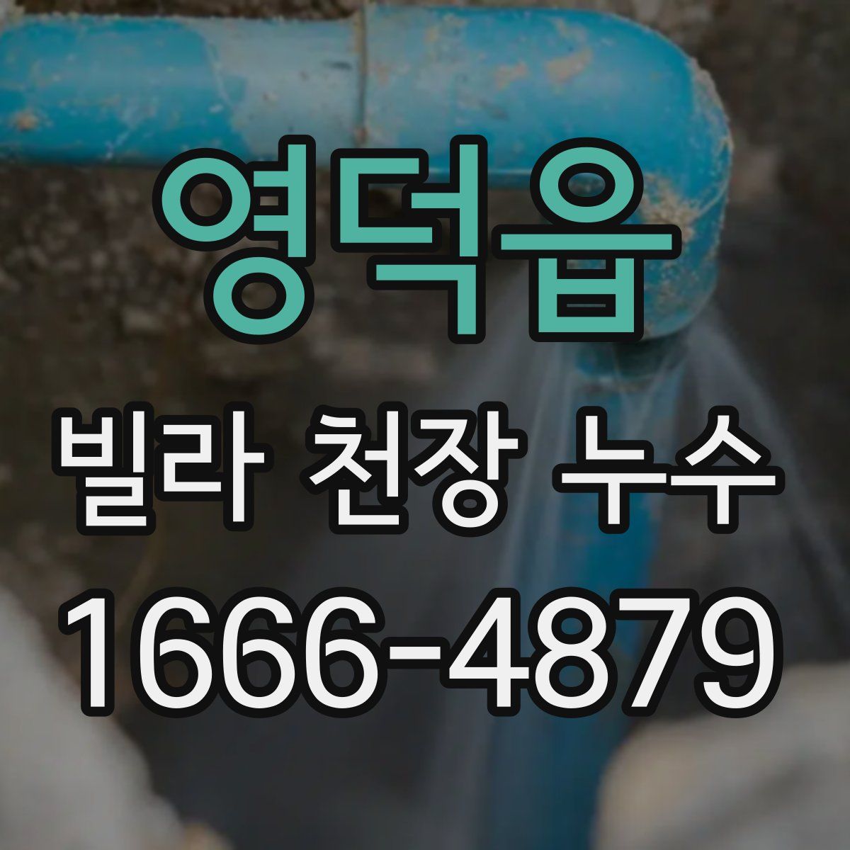 영덕읍 빌라 천장 누수
