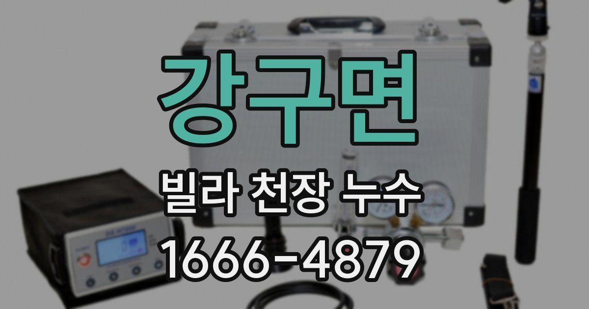 강구면 빌라 천장 누수