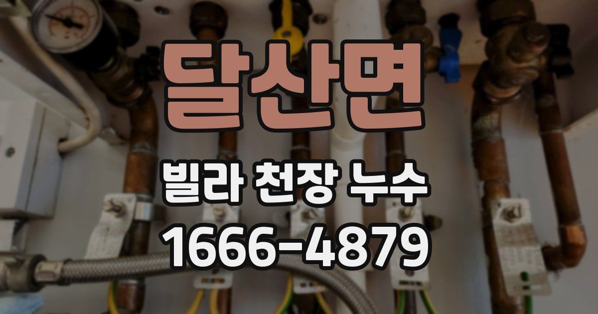 달산면 빌라 천장 누수