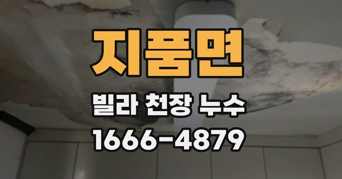 지품면 빌라 천장 누수