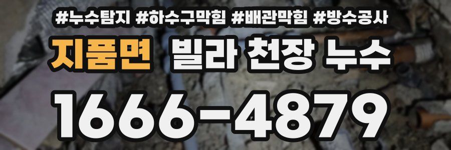 지품면 빌라 천장 누수