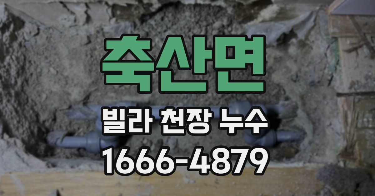 축산면 빌라 천장 누수