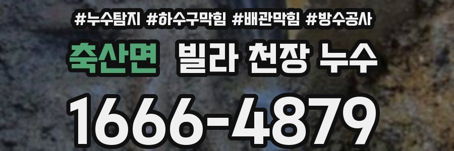 축산면 빌라 천장 누수