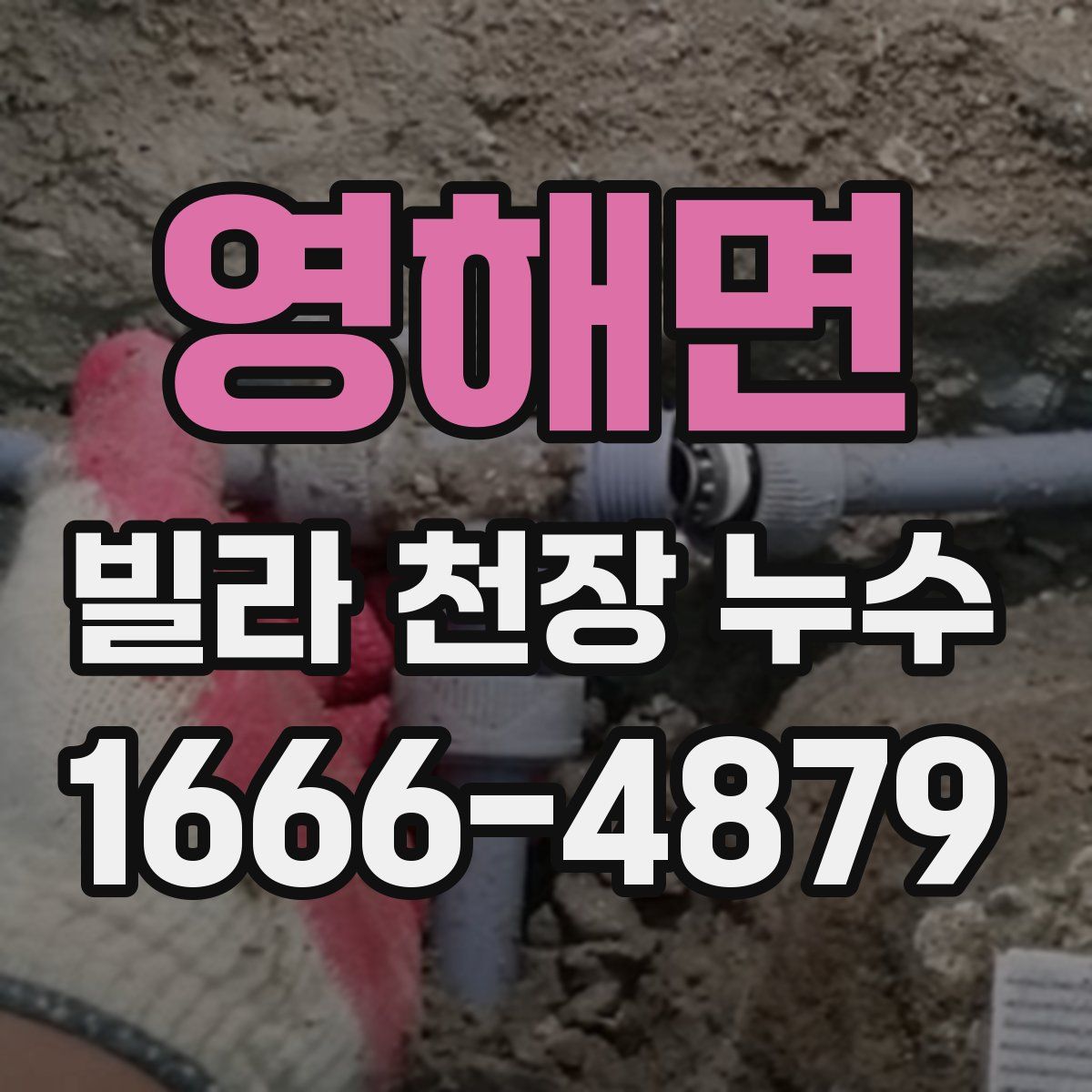 영해면 빌라 천장 누수