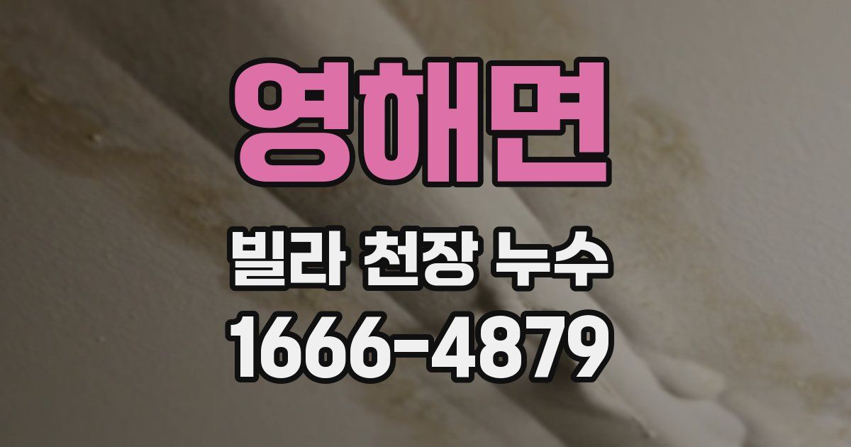 영해면 빌라 천장 누수
