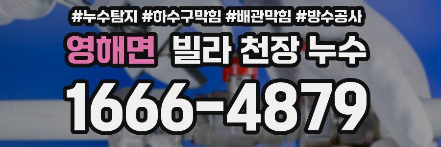 영해면 빌라 천장 누수