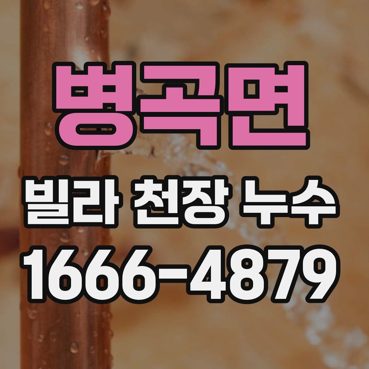 병곡면 빌라 천장 누수