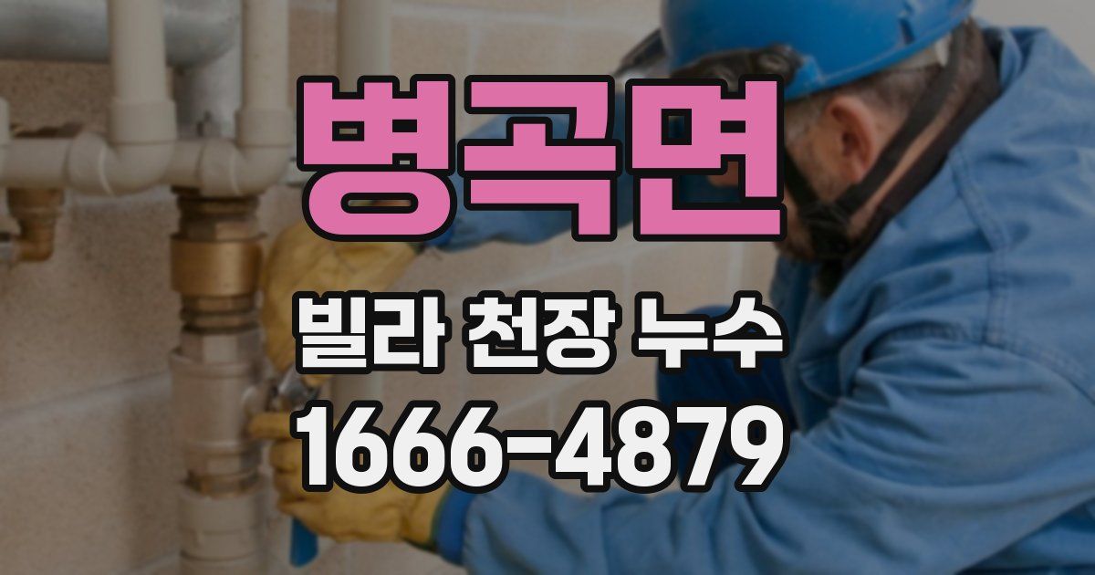 병곡면 빌라 천장 누수