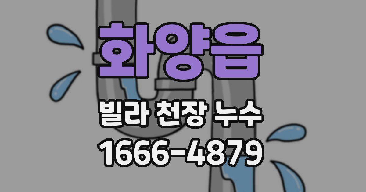 화양읍 빌라 천장 누수