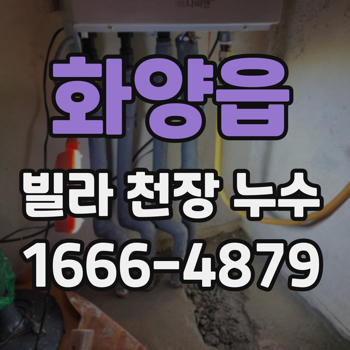 화양읍 빌라 천장 누수