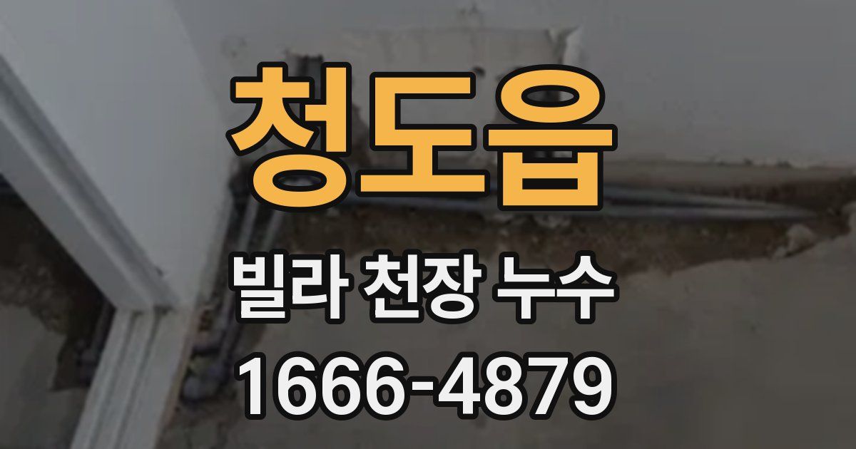 청도읍 빌라 천장 누수