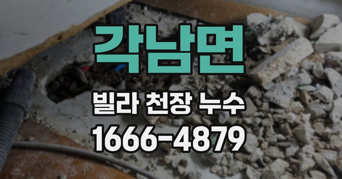 각남면 빌라 천장 누수