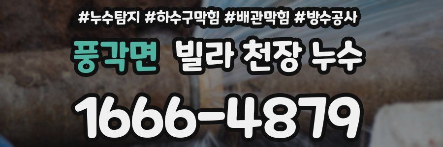 풍각면 빌라 천장 누수