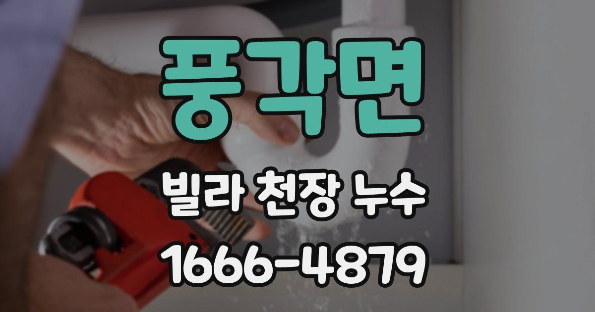 풍각면 빌라 천장 누수
