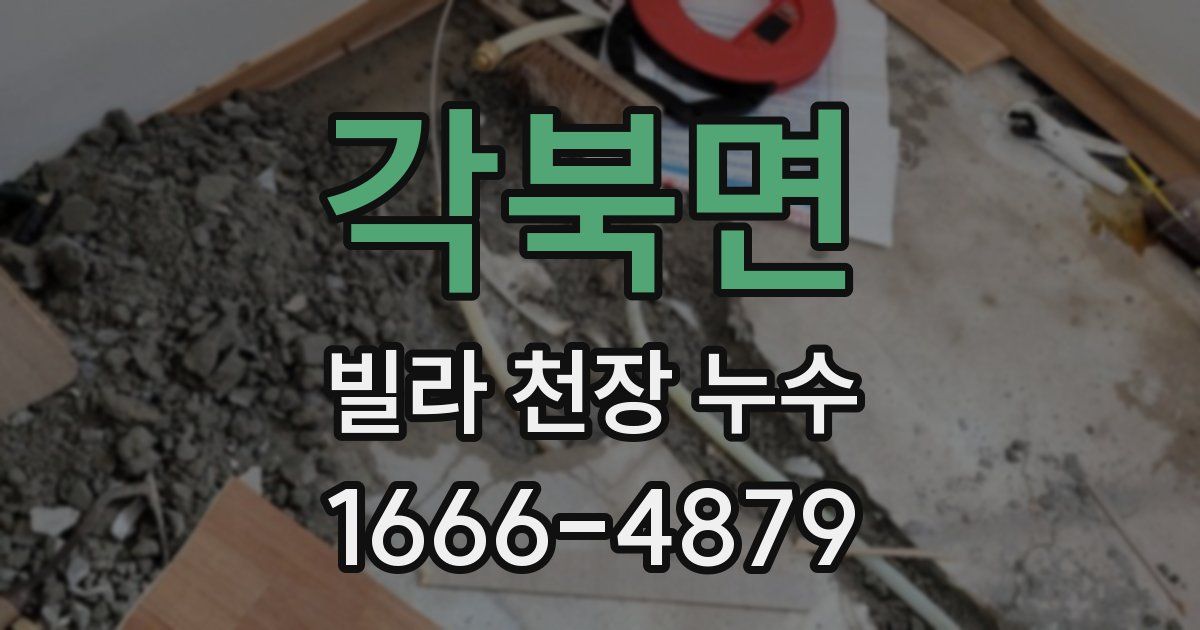각북면 빌라 천장 누수