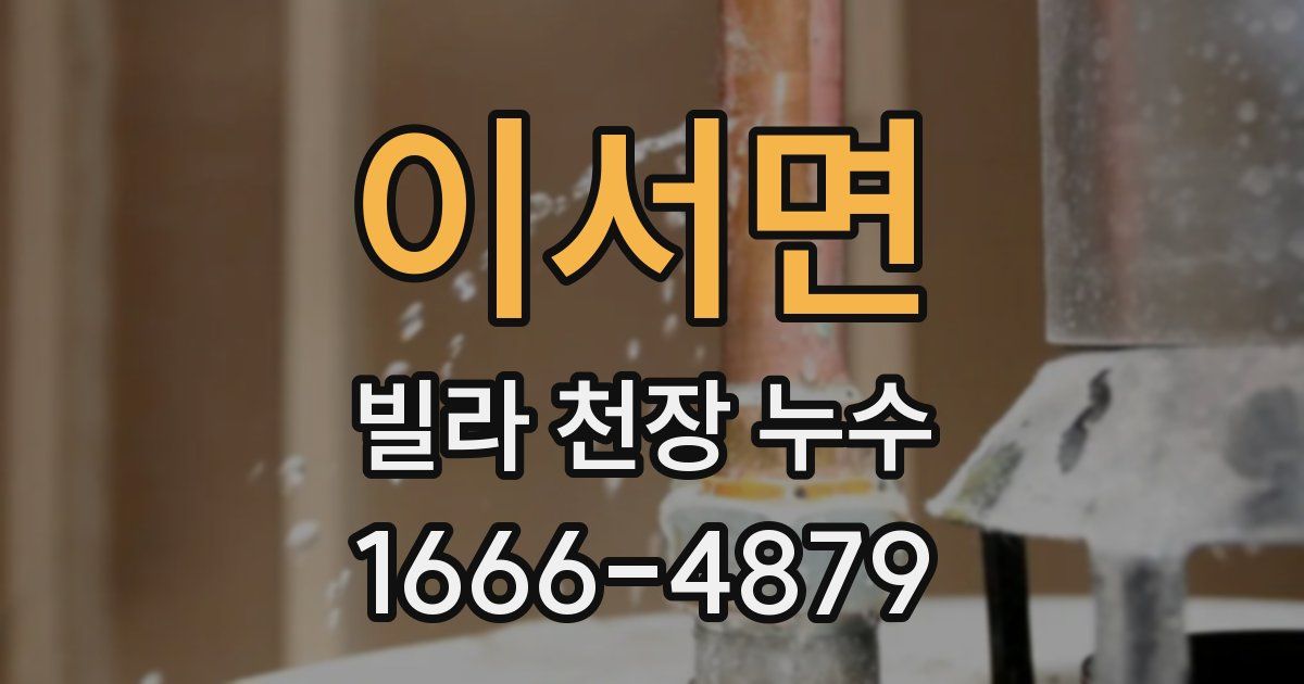 이서면 빌라 천장 누수