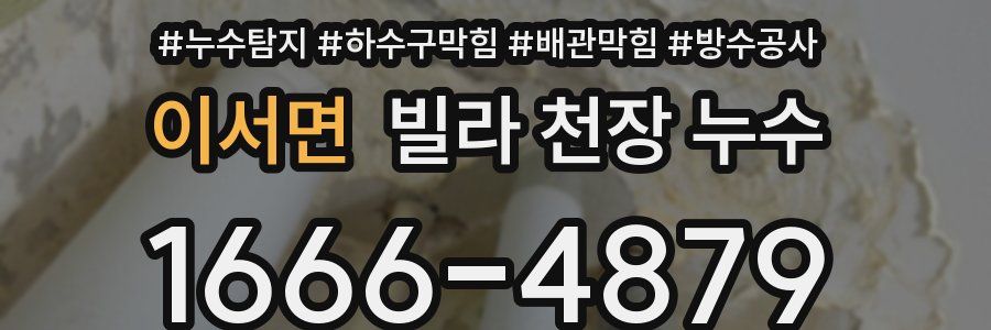 이서면 빌라 천장 누수