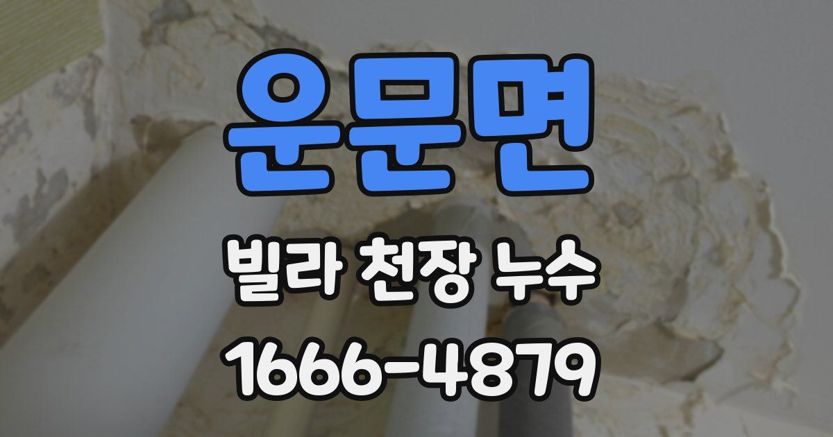 운문면 빌라 천장 누수