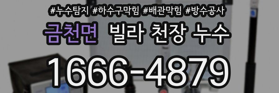 금천면 빌라 천장 누수