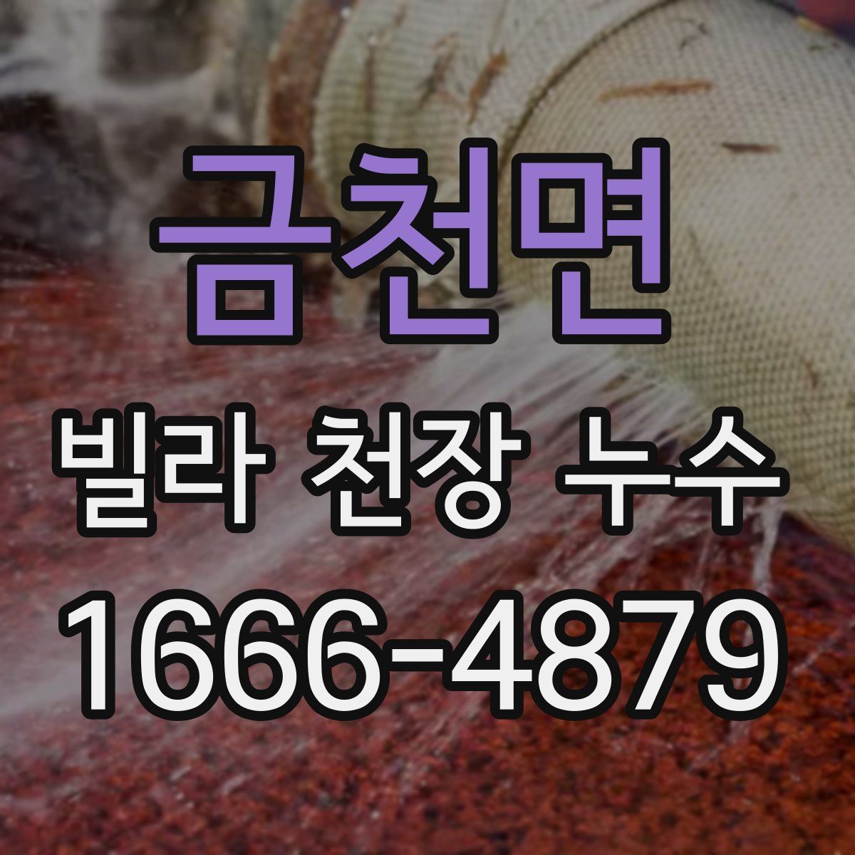 금천면 빌라 천장 누수