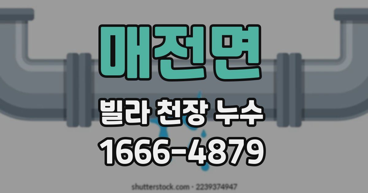 매전면 빌라 천장 누수