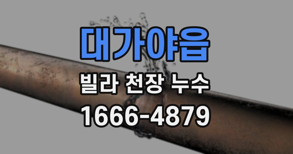대가야읍 빌라 천장 누수