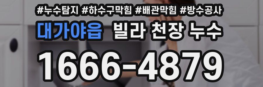 대가야읍 빌라 천장 누수