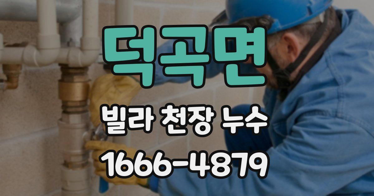 덕곡면 빌라 천장 누수