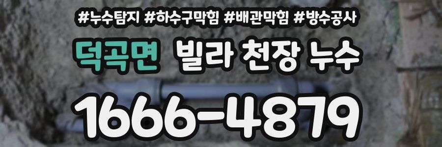 덕곡면 빌라 천장 누수