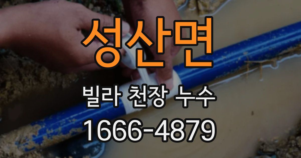 성산면 빌라 천장 누수