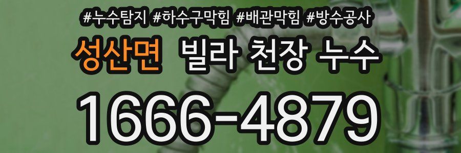 성산면 빌라 천장 누수
