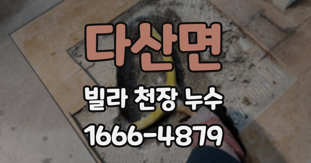 다산면 빌라 천장 누수