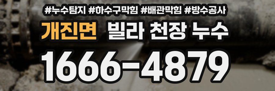 개진면 빌라 천장 누수