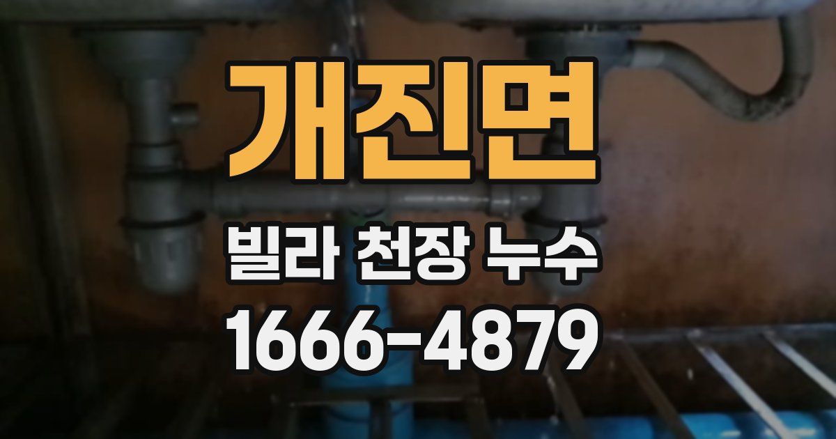 개진면 빌라 천장 누수