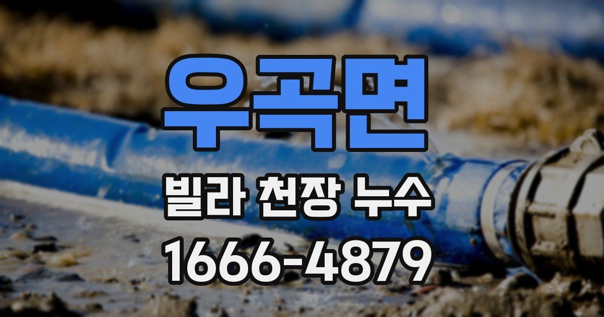 우곡면 빌라 천장 누수
