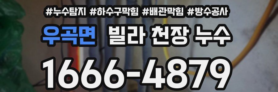 우곡면 빌라 천장 누수