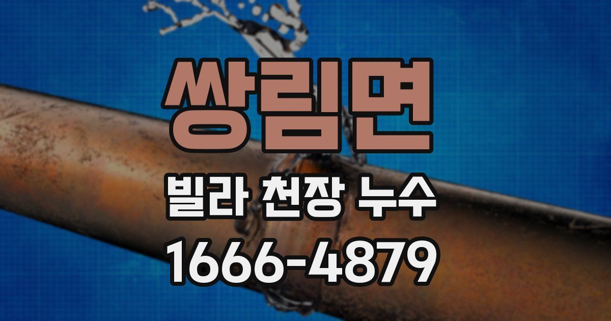 쌍림면 빌라 천장 누수