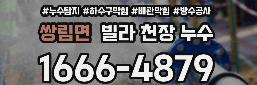 쌍림면 빌라 천장 누수