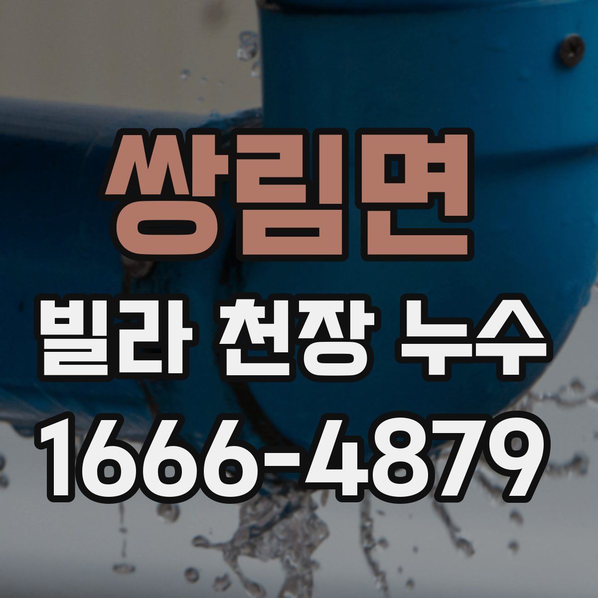 쌍림면 빌라 천장 누수