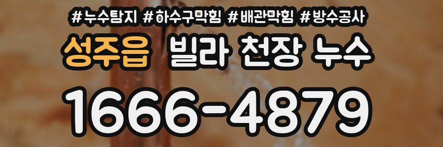 성주읍 빌라 천장 누수
