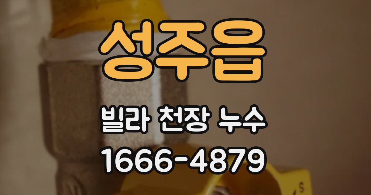 성주읍 빌라 천장 누수