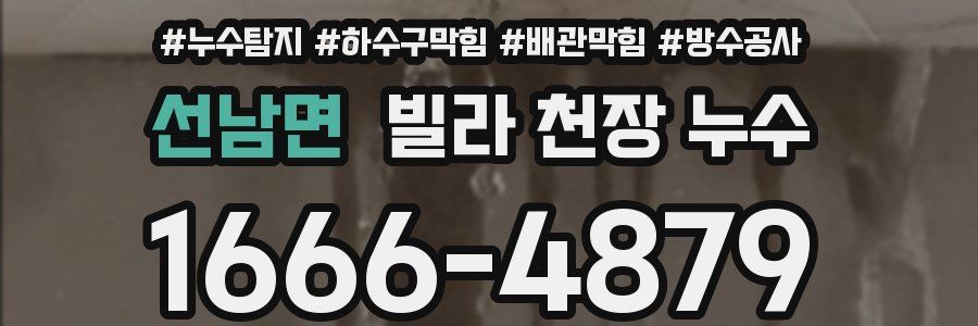 선남면 빌라 천장 누수